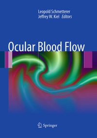 Enlarge image Cover: Ocular Blood Flow - Springer