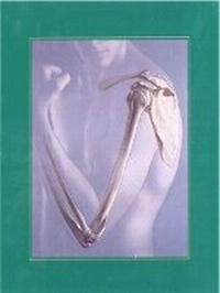 Enlarge image Cover: Human Anatomy - Pearson
