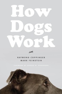 Enlarge image Cover: How Dogs Work - University of Chicago Press