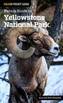 Cover: Nature Guide to Yellowstone National Park - Falcon Guides