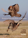 Cover: Booming from the Mists of Nowhere - University Of Iowa Press
