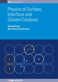 Abbildung von: Physics of Surface, Interface and Cluster Catalysis 2016 - IOP Publishing Ltd