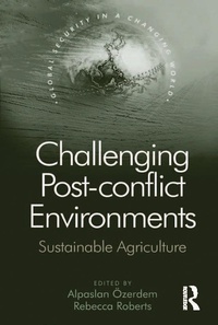 Abbildung von: Challenging Post-conflict Environments - Routledge