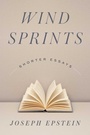 Cover: Wind Sprints - Hunter Lewis Foundation