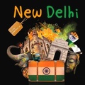 Cover: New Delhi - BookLife Publishing