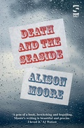 Cover: Death and the Seaside - Salt Publishing