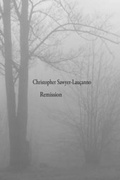 Cover: Remission - Talisman House, Publishers