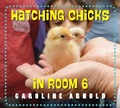 Cover: Hatching Chicks in Room 6 - Charlesbridge Publishing,U.S.