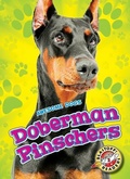 Cover: Doberman Pinschers - Blastoff! Readers