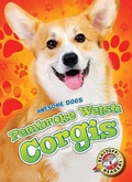 Cover: Pembroke Welsh Corgis - Blastoff! Readers