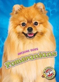 Cover: Pomeranians - Blastoff! Readers