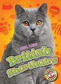 Cover: British Shorthairs - Blastoff! Readers