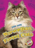 Cover: Norwegian Forest Cats - Blastoff! Readers