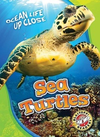 Enlarge image Cover: Sea Turtles - Blastoff! Readers