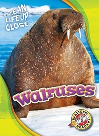 Enlarge image Cover: Walruses - Blastoff! Readers