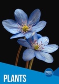 Cover: Plants - BookLife Publishing
