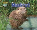 Cover: Muskrat - Bearport Books