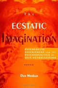 Cover: The Ecstatic Imagination - State University of New York Press