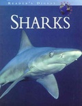 Cover: Reader's Digest Explores: Sharks - Reader's Digest Association
