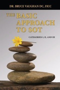 Cover: The Basic Approach to SOT - International Health Publishing