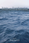 Cover: Trinity and Transformation - Wipf & Stock Publishers