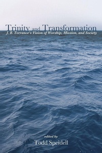 Enlarge image Cover: Trinity and Transformation - Wipf & Stock Publishers
