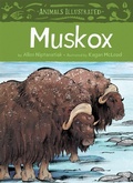 Cover: Animals Illustrated: Muskox - Inhabit Media Inc