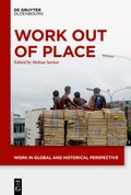 Cover: Work out of Place - De Gruyter Oldenbourg