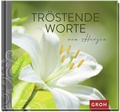 Cover: Tr&ouml;stende Worte von Herzen - Groh