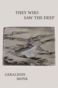 Enlarge image Cover: They Who Saw the Deep - Parlor Press