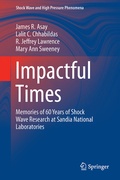 Cover: Impactful Times - Springer