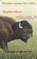 Cover: Thunder Across The Valley - FeedARead.com