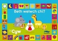 Cover: Beth Welwch Chi? Cyw - Canolfan Peniarth
