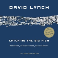 Enlarge image Cover: Catching the Big Fish - Tarcher/Putnam,US