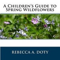 Enlarge image Cover: A Children's Guide to Spring Wildflowers - Quillwort Publishing