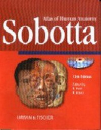 Abbildung von: Sobotta Atlas of Human Anatomy (Latin), 13/E, Single User CD-Rom - Lippincott Williams and Wilkins