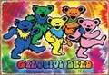 Cover: Grateful Dead - Bears - Tin Sign - Aquarius