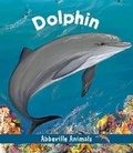 Cover: Dolphin: Abbeville Animals - Abbeville Kids,US