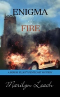 Cover: Enigma of Fire - Pelican Book Group