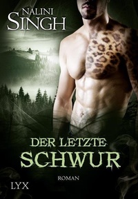 Abbildung von: Der letzte Schwur - LYX