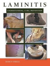 Abbildung von: Laminitis - Chezchevaux.Eu