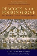 Cover: Peacock in the Poison Grove - Wisdom Publications
