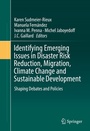 Cover: Identifying Emerging Issues in Disaster Risk Reduction, Migration, Climate Change and Sustainable Development - Springer