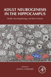Bild: Adult Neurogenesis in the Hippocampus - Academic Press