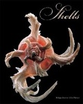 Cover: Shells - Abbeville Press Inc.,U.S.