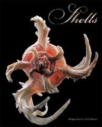 Enlarge image Cover: Shells - Abbeville Press Inc.,U.S.