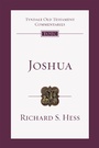 Cover: Joshua - IVP Academic