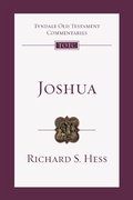 Cover: Joshua - IVP Academic