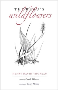 Abbildung von: Thoreau's Wildflowers - Yale University Press