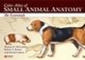 Bild: Color Atlas of Small Animal Anatomy - Lippincott Williams and Wilkins